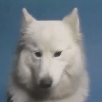 some kind of gayfag
if you know me and you weren't already given this account by me then please kindly fuck off