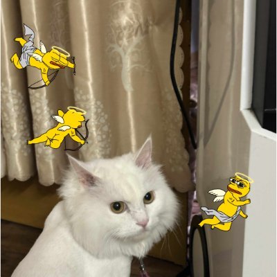 amap195's profile picture. 