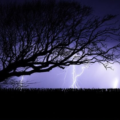 ff0143806378940's profile picture. 