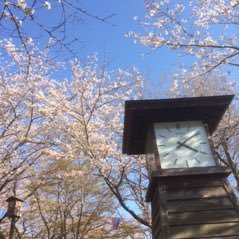 shima640525's profile picture. 被爆80年を超えて、これからの継承のカタチを考えたい。継承に関わる記事をリポストしていきます。