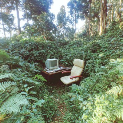 SupremeRetard0's profile picture. 