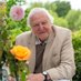 David Attenborough (@davidatten29402) Twitter profile photo David Attenborough (@davidatten29402) Twitter profile photo