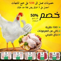 دواجن دبي - daary pouiltry (@nationalubsi) Twitter profile photo