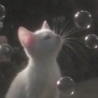 🫶🏻 (@xdesull) 's Twitter Profile