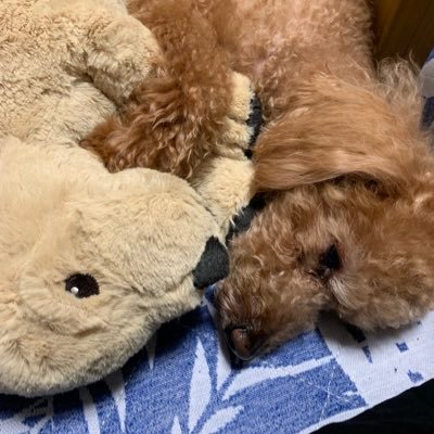 VenusOnEdge's profile picture. 自分に優しく、人にも優しく