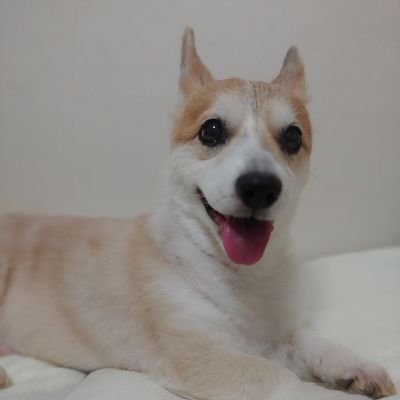 loveYa171725697's profile picture. 나 혼자 앤톤 흔적 남기는 방 빈앤톤성찬영또돌즈말강즈투톤즈