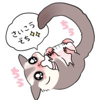 ゆたむ【ぬいぽてのかいぬち】 (@yutamu__n) 's Twitter Profile
