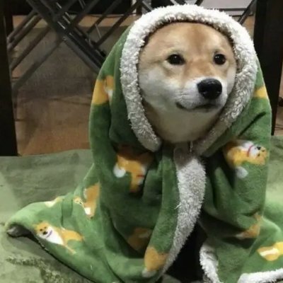 Lfwfwfw's profile picture. 