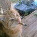 _/˭ GUTS BYTE (@byteslze) Twitter profile photo _/˭ GUTS BYTE (@byteslze) Twitter profile photo