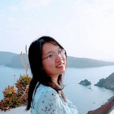 XinweiS's profile picture. researcher @openai