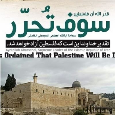 somayeh1431's profile picture. 🇮🇷 افتخارم :شیعه علی ، کشورم ایران🇮🇷