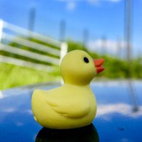 あひるちゃん。0歳🍼 (@ahiru___duck) 's Twitter Profile