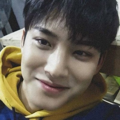 yurimorisu's profile picture. #SEVENTEENis13