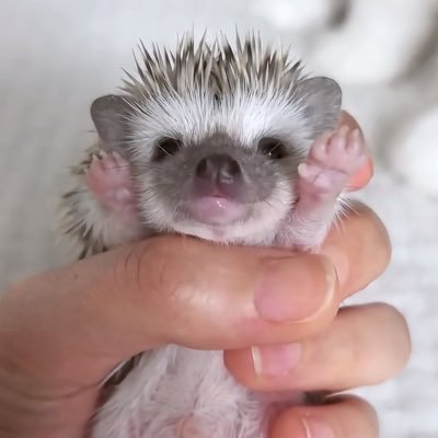 tonop_oN's profile picture. @jaxsol4x2 꾸욱~♡♡♡