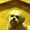 Tracey Colson - @shmooty43 - Twitter