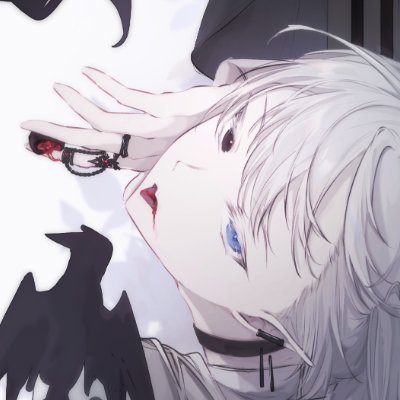 ShiNさんのプロフィール画像