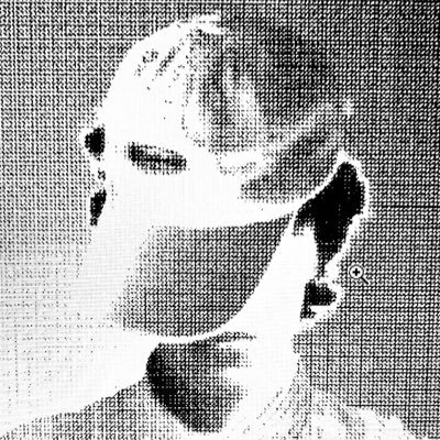 Kogarashiさんのプロフィール画像