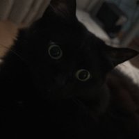 Amsiee (@swiftie_slut) 's Twitter Profile