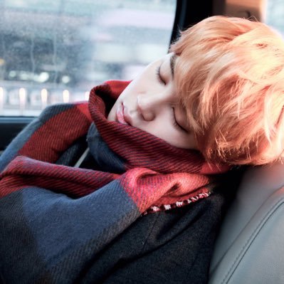 24 y/o. ENG/VIE 👍, minimal JPN 🥹 Bangtan = 7 💜