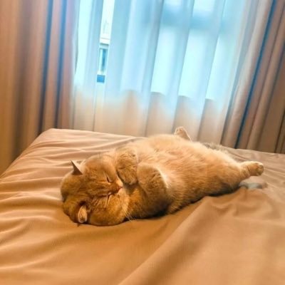 manboPolish's profile picture. Finding peace in nature 🌲