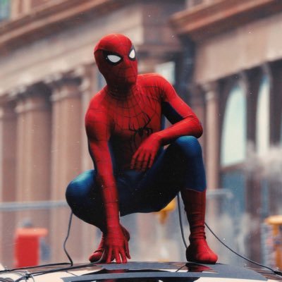 19 year old black dude who enjoys everything Spider-Man | Batman enthusiast | #1 DC enjoyer | pronouns are he/him | big MCU fan