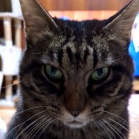 山田信子 (@cxupn4orro99481) 's Twitter Profile