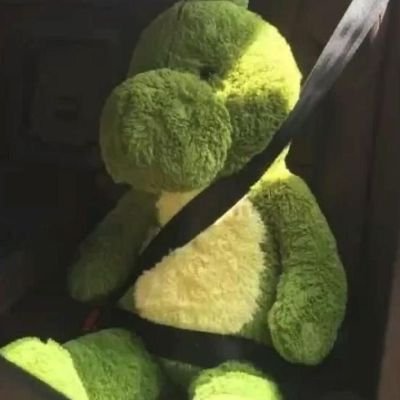 gosununvs's profile picture. 내가 하고 싶은 살고 싶은 인생을 사는 것 그게 진짜 멋진 거야 !!