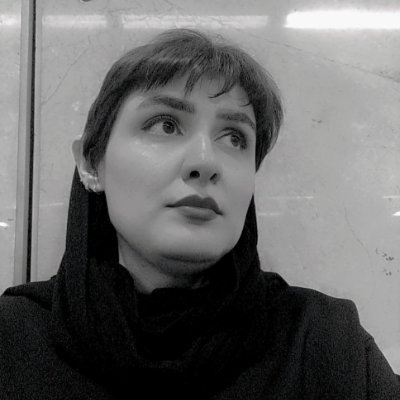 roya_A_am's profile picture. Developer