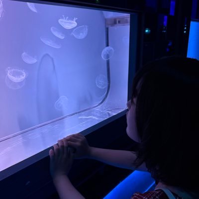 アカウント消えてましたが晴れてnewアカウント作りました👍👍もしよろしければフォロー等お願いします!!撮影等で活動してます