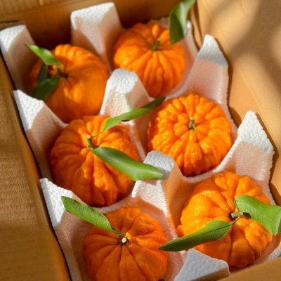 joselenilso's profile picture. Eu gosto de amor