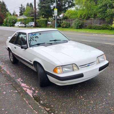 boob78381871's profile picture. PNW, adult male, 🏳️‍🌈, foxbody mustang and muscular man lover, gym goer