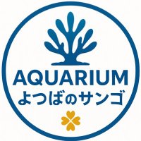 よつばのサンゴ (@yotsuba_sango) 's Twitter Profile Photo よつばのサンゴ (@yotsuba_sango) 's Twitter Profile Photo