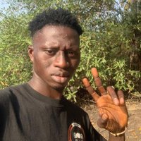 Lamin Dember (@ldember49124) 's Twitter Profile