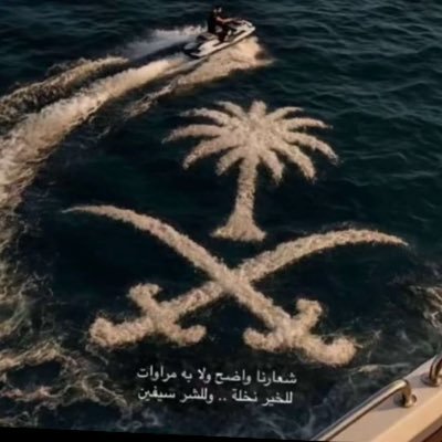مستشارة تدريب دكتوراة في علوم التدريب مدربة للعبة ( الشطرنج ) كاتبة