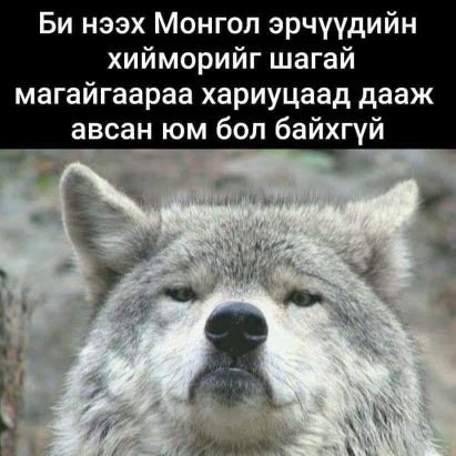 ganzul_kh's profile picture. 