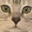 Profile image of Simo Ryu