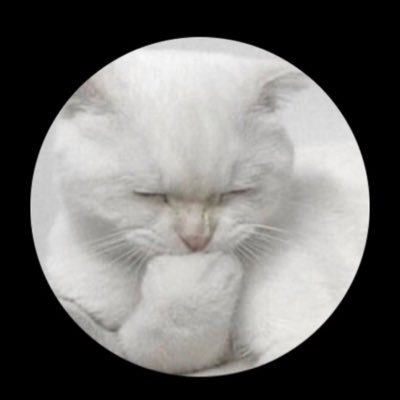 HONDA1234ZX's profile picture. 名の通り愛好家です。