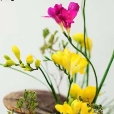 jiang_chel85174's profile picture. 