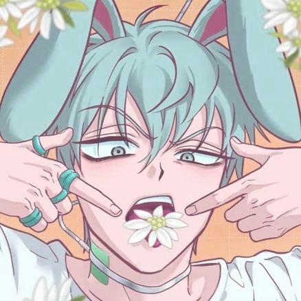 ✮🐈⬛ れいむ 🍓! ࣪˖ Profile
