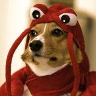 MonikaJust5205's profile picture. 