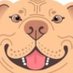 PITBULL GARAGE (@ptblgarage) Twitter profile photo PITBULL GARAGE (@ptblgarage) Twitter profile photo