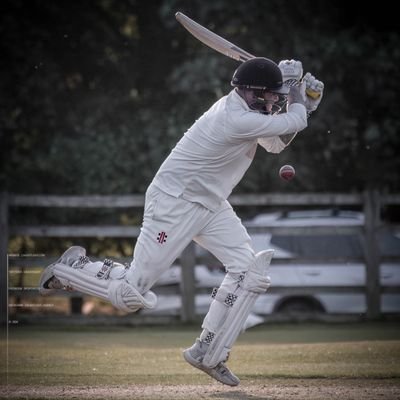 Lover of Cricket, LUFC, Theme Parks, Music and Gaming