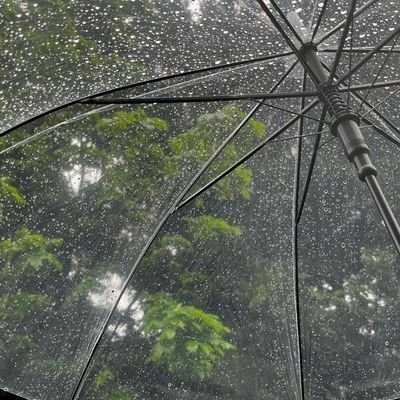 1222tttttt's profile picture. 