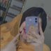 samreen (@samreen17_10) Twitter profile photo samreen (@samreen17_10) Twitter profile photo