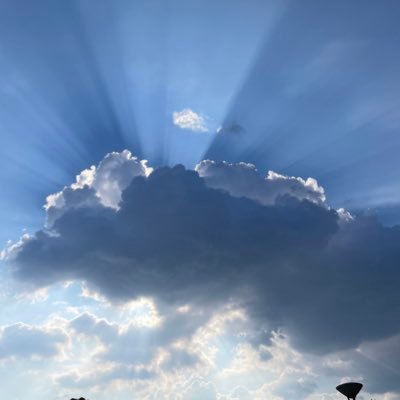 tabun_muda's profile picture. 経営も人間関係も、何度も転んできた。 それでも、立ち直るたびに少しずつ強くなれた。 うまくいかない日も、止まってしまう時期も、全部人生の一部。 再出発に必要なのは、完璧さより“しぶとさ”。 しくじっても、だいたい大丈夫。ゆっくり整えていこう。