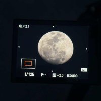 muun (@tothemuunn) 's Twitter Profile