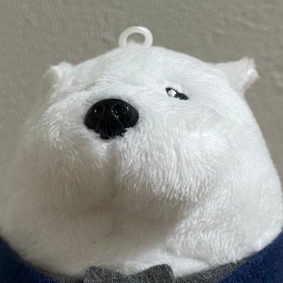 tora20217's profile picture. 