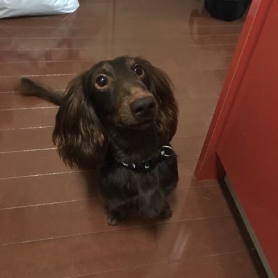 theyuuki81's profile picture. 