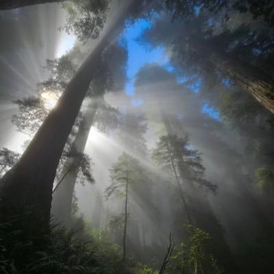 Illya76628's profile picture. 