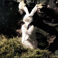 T. J. H. ✝️ (@thetjhfren) 's Twitter Profile